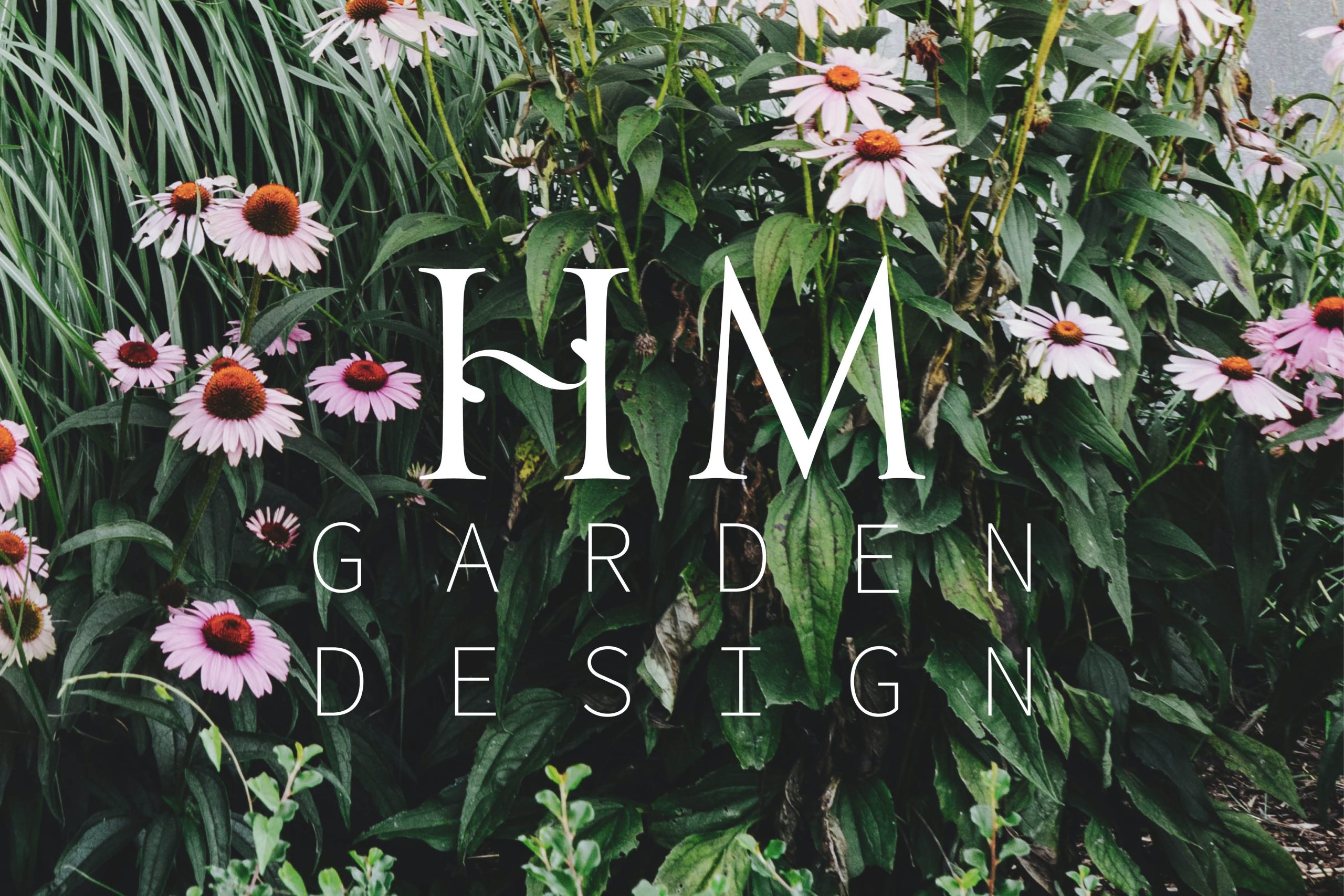 luscious garden with green leaves, tall grass and pink daisy like flowers with Logo over the top which says "HM Garden Design" in white text.