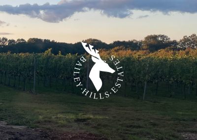 Bailey Hills Estates
